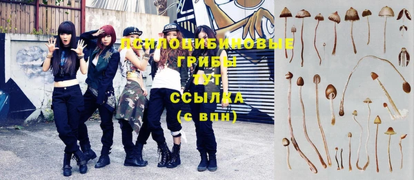 гашиш Абаза